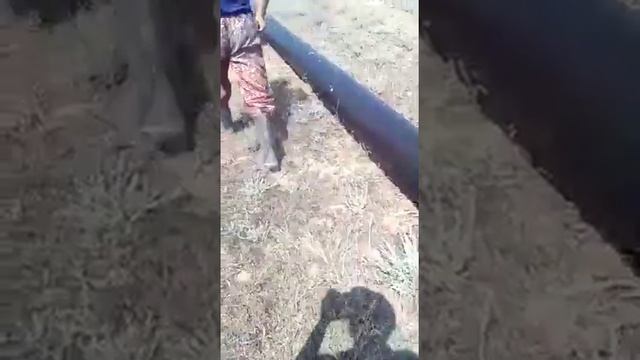 Вот так стравливают воздух с водопровода Джелга, а потом просят деньги на трубы смотреть онлайн