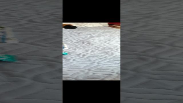 СКИБИДИ звери захватили мир 27 смотреть онлайн