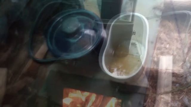 Едва добрался в Шалаш.  Натопил печку. Готовлю суп