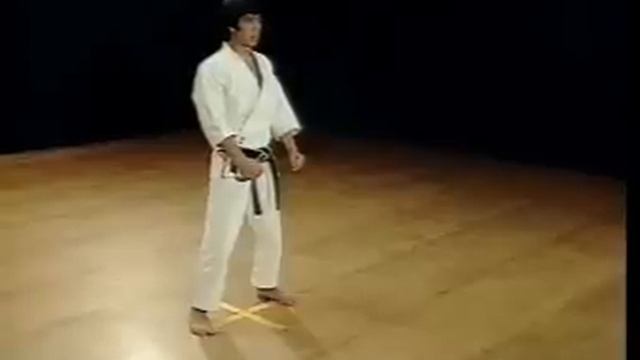 Shotokan Kata Nijushiho - Kanazawa Hirokazu смотреть онлайн