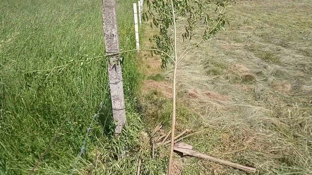 Как переписывается история... смотреть онлайн