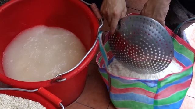 Extremely Satisfying! Mochi Making Process And Popular Mochi Shop Collection! / 療癒! 麻糬製作過程和人氣麻糬店大合集