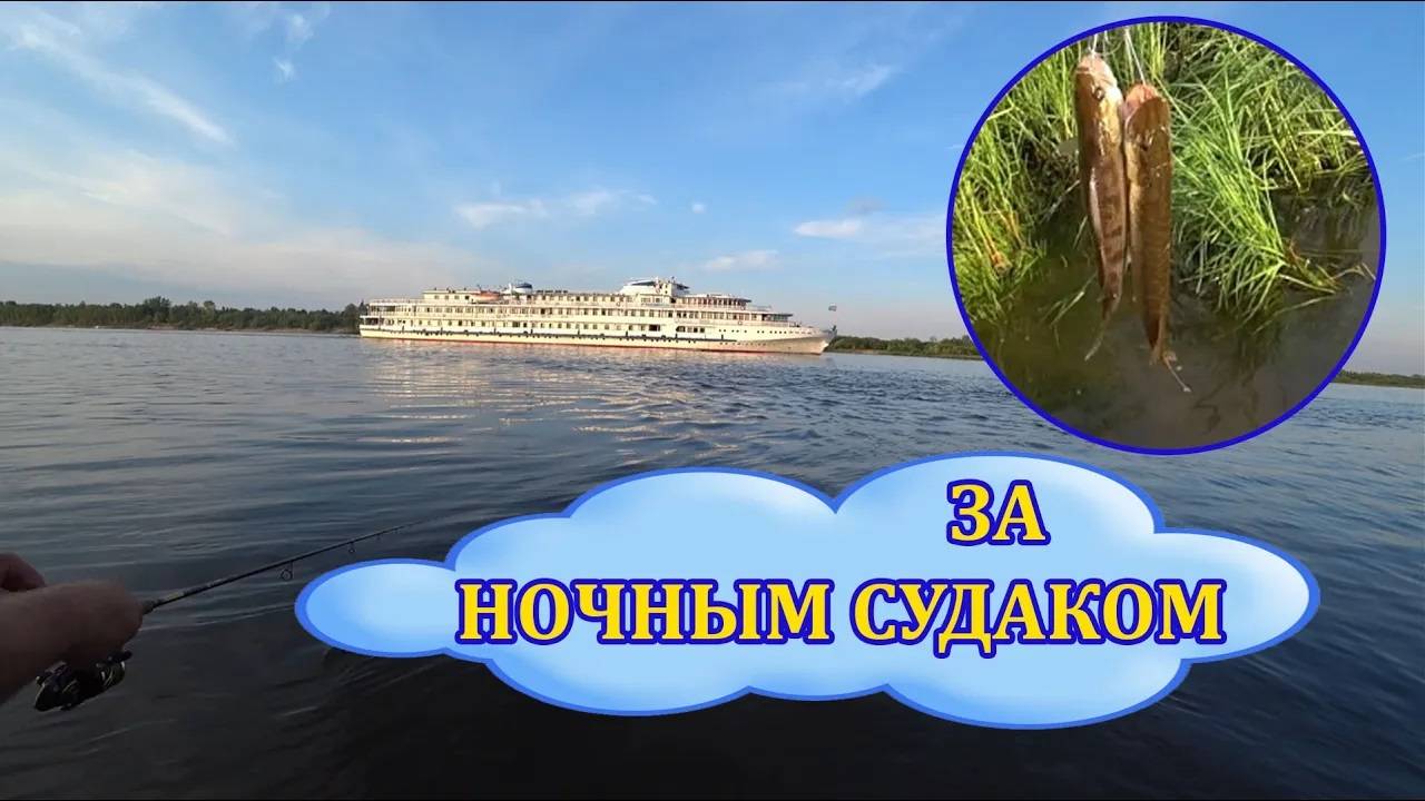 За ночным судаком. Ночная рыбалка на Волге. смотреть онлайн
