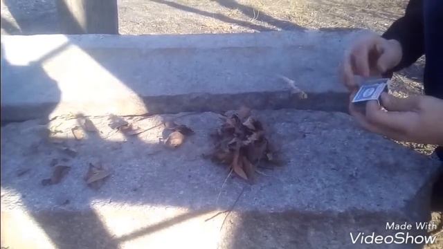 Что такое семидыры смотреть онлайн