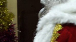 К нам пришел дед Мороз - 1 часть