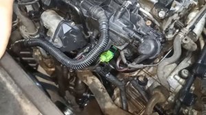 VW Tiguan 2.0 TSI устранение течи пастели распредвалов