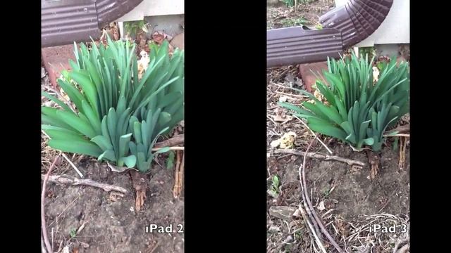 iPad 2 vs iPad 3 Video Quality Test смотреть онлайн