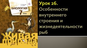 Урок 26. Особенности внутреннего строения и жизнедеятельности рыб