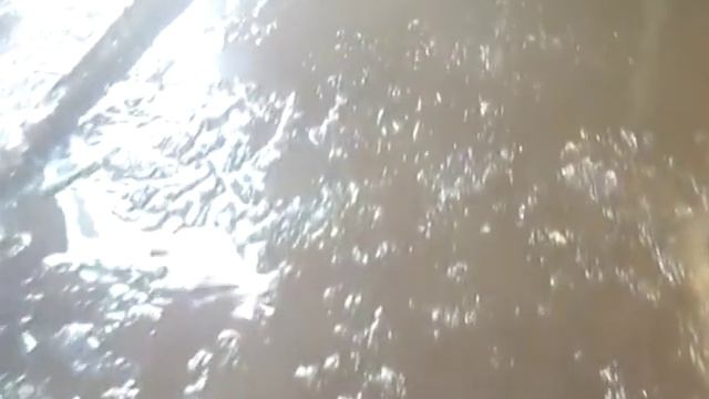 гаражи затопило