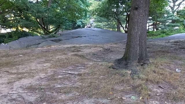 Открываю Аптеку В США :) Свой Бизнес В Нью-Йорке. #медицина #фармацевтика смотреть онлайн