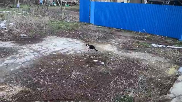 4❤️.Первая ночёвка в новом доме | Готовка на импровизированной кухне | 26/02/2021. смотреть онлайн