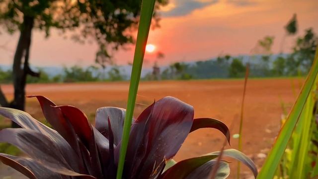 VIDEO BOKEH Ful Hd Very Beautiful View