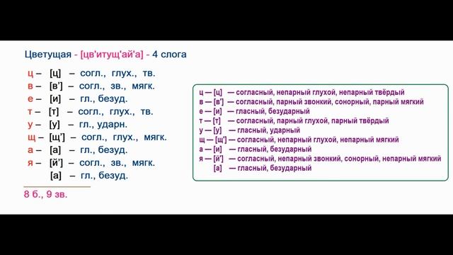 Звуко – буквенный   (фонетический)  разбор  к   слову  цветущая