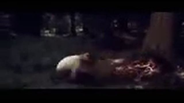 Viagem Macabra Dublado & Completo