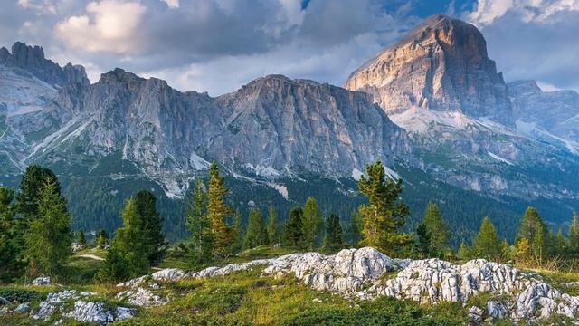 Rattenbury. Rhythm Of The Trees