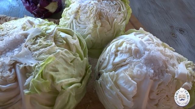 109 # Кисело Зеле - най-важен е сорта, другото е просто и лесно - SUB - Yami Yami смотреть онлайн