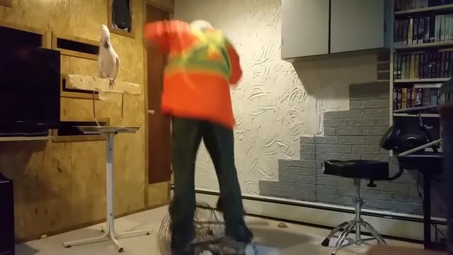 Что будет если сломать клетку для попугая смотреть онлайн