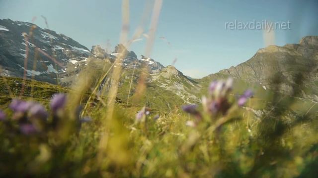 relaxdaily N°054 – Расслабляющая, фортепиано инструментальная фоновая музыка – Швейцария смотреть онлайн