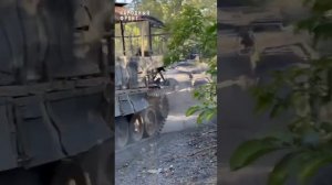 Трофейная БМП «Мардер 1А3»