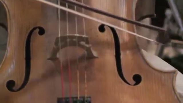 Great Wall International Music Academy