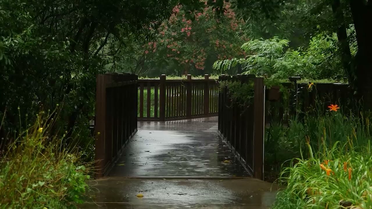 Шум дождя 10 ЧАСОВ для разгрузки успокоение нервной системы - Звуки дождя и грома для сна смотреть онлайн