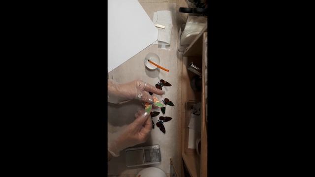 #diy | Papillon de A à Z de la création au résinage. смотреть онлайн