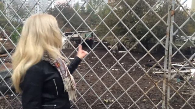 "Мой Киев Наизнанку" смотреть онлайн