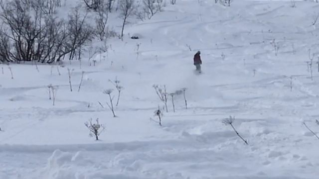 Хакасия, поселок Приисковый. Фрирайд покатушки. Freeride смотреть онлайн