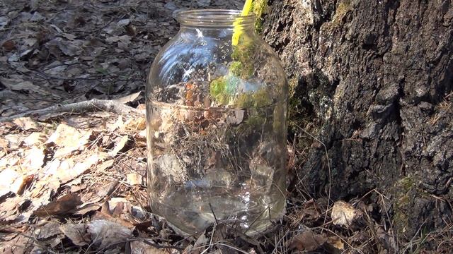 Наука о Здоровье и Жизни