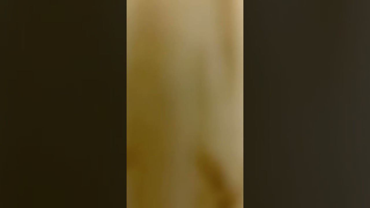 Каталог мебели Виват #бюджетнаякухня #виватмебель #кухни #каталог #мебельдлякухни #shorts смотреть онлайн