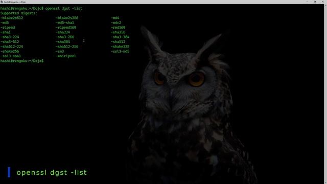 OpenSSL Tutorial Video-5 | Generating Digital Signatures Using OpenSSL смотреть онлайн