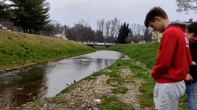 Савва Мезин - о системе Мак-Магона смотреть онлайн