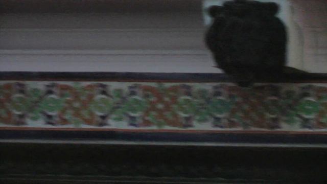 DarkRiver Концерт в институте - музее семьи Рерихов часть вторая!! смотреть онлайн