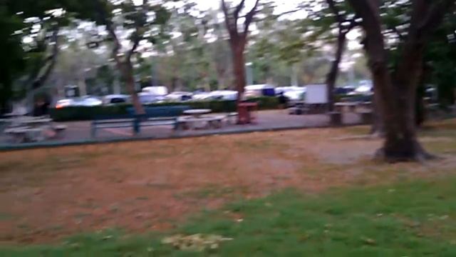 Чатучак парк в Бангкоке (белки :-)) смотреть онлайн