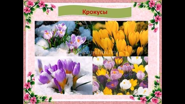25 мая - "Весенний калейдоскоп" старшая группа Затейники смотреть онлайн