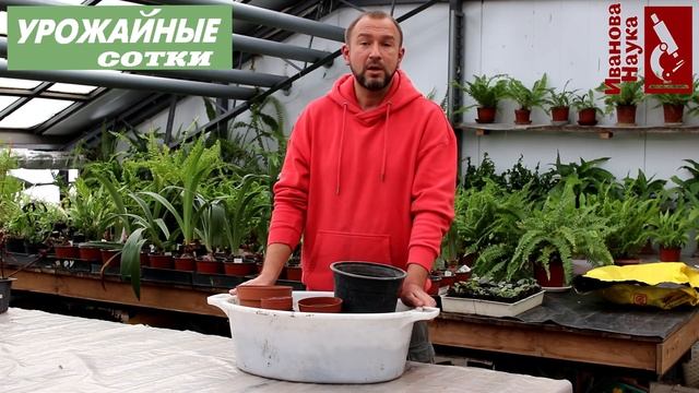 Контейнеры для рассады: все ответы в одном видео! смотреть онлайн