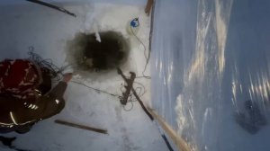 Проверка перемета. Смотрим на результат нашего эксперимента с наживкой из потрохов налима