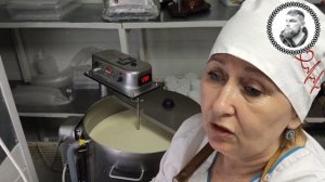 ошибки и секреты сыра камамбер рецепт от технолога, этого не за что не расскажут бесплатно- даром