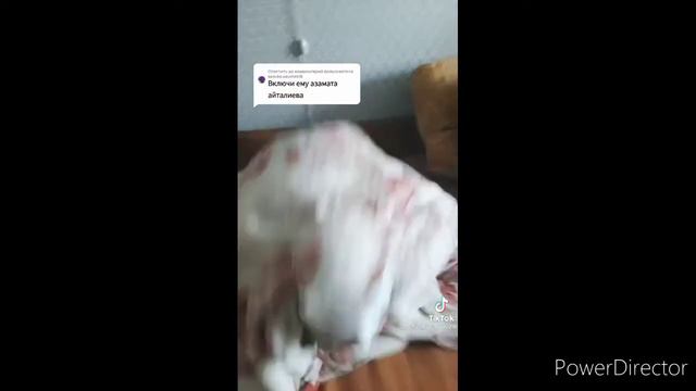 анонимусы везде#7 смотреть онлайн