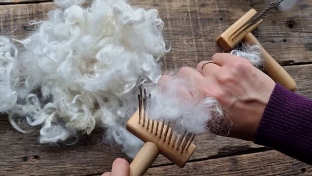 Где купить шерсть? Советская шерстная порода коз (Маргарита Ж., Забайкальский край) смотреть онлайн