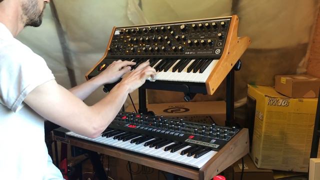 PROPHET-6 VS. SUB37: PATCH MATCH (No Talking) смотреть онлайн