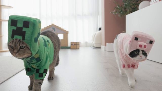 Creeper Goro and Pig Luca "Taste Test" Minecraft Food смотреть онлайн