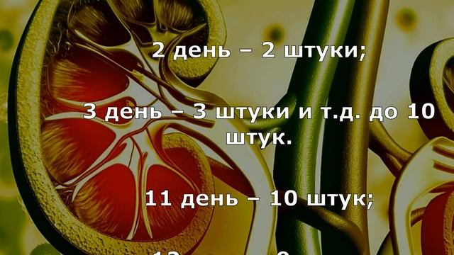 Как вывести песок и камни из почек по рецепту Сибирской Целительницы смотреть онлайн