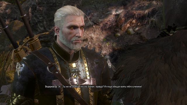 Мини-вод по Гвинту: ЧАСТЬ 30 (Прохождение The Witcher 3: Wild Hunt) смотреть онлайн