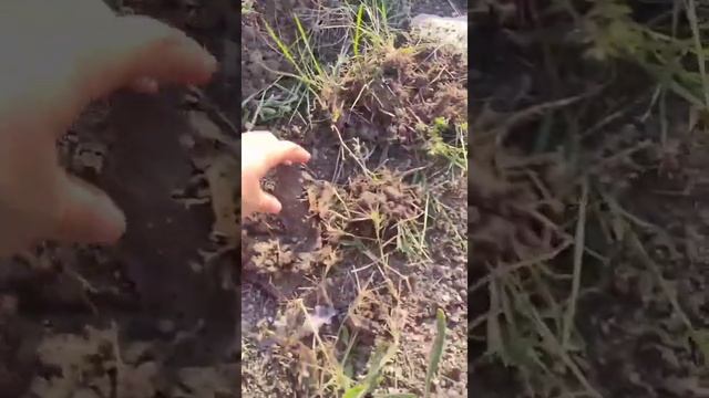 НАШЛИ МЕТЕОРИТ НА КОПЕ!!?? Удивительные находки с помощью металлоискателя. смотреть онлайн