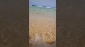 Отель «Amarina Jannah Resort» возле г.Марса Алам (Египет) 2023