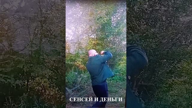 СЕНСЕЙ И ДЕНЬГИ. смотреть онлайн