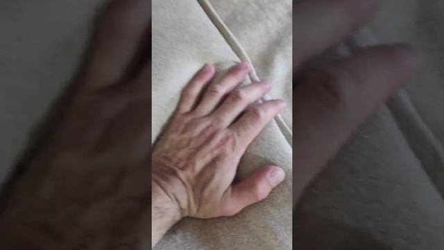 Диван по Котову !)