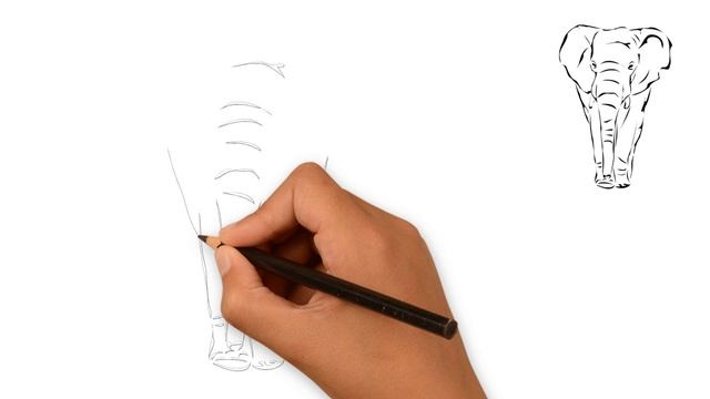 How To Draw A Elephant Step by Step смотреть онлайн