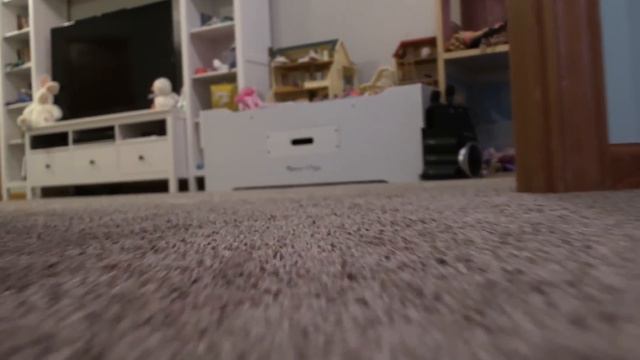 ALONG CAME A SPIDER. (CREEPY) смотреть онлайн